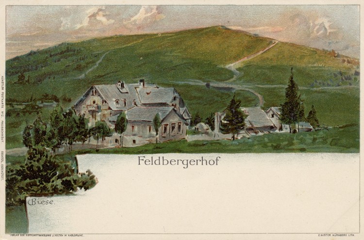Feldberg Biese