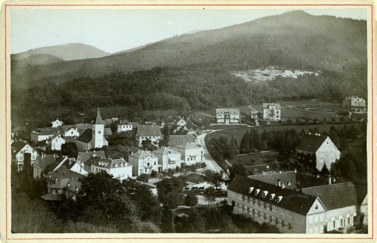 Hase Badenweiler 05