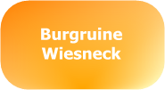 Burgruine Wiesneck